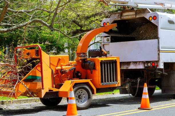 Woodway, TX Tree Removal and Landscaping Services Company